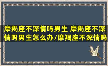 摩羯座不深情吗男生 摩羯座不深情吗男生怎么办/摩羯座不深情吗男生 摩羯座不深情吗男生怎么办-我的网站